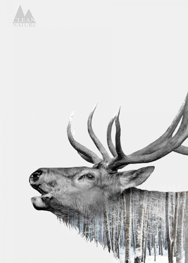 Deer art print by Clean Nature for $57.95 CAD