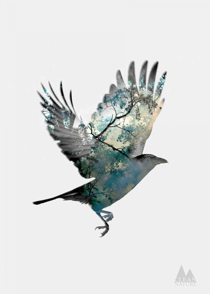 Bird art print by Clean Nature for $57.95 CAD