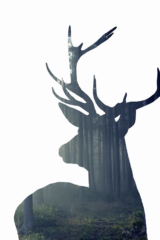 Forest Deer Silhouette art print by Incado for $57.95 CAD