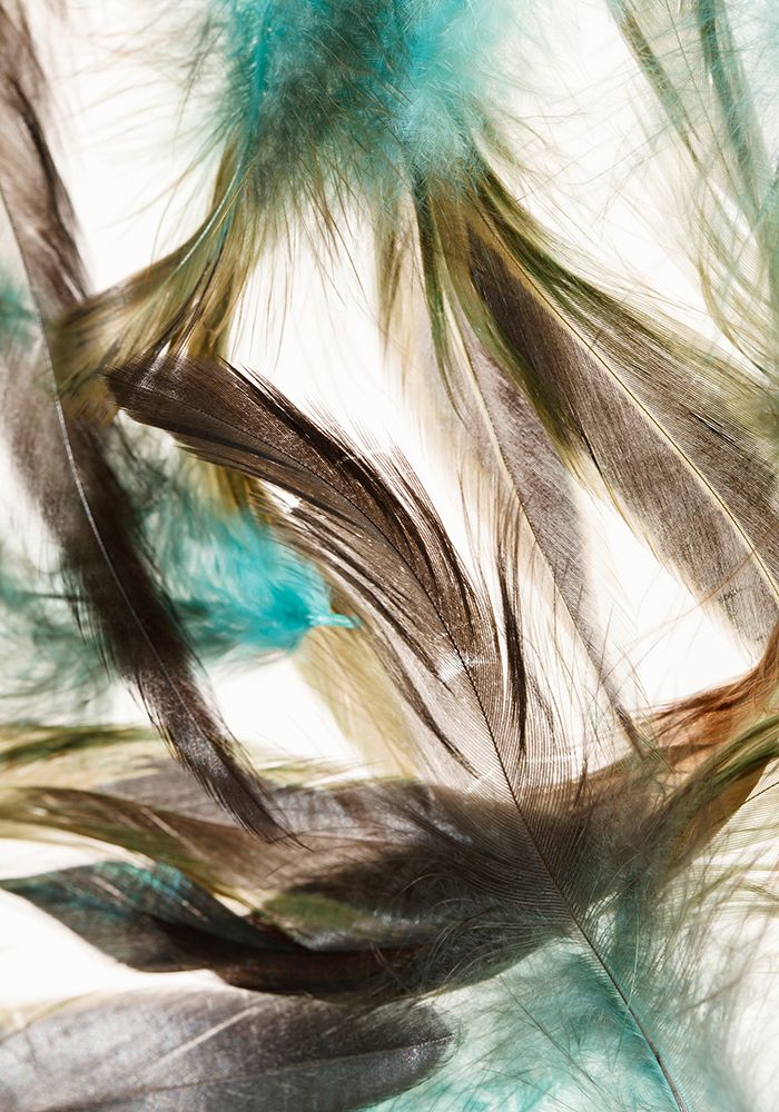 Floating Feathers art print by Incado for $57.95 CAD