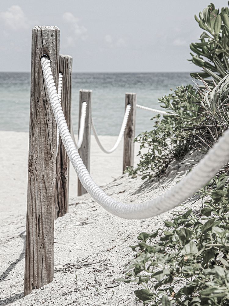 Beach Path with Ropes art print by Incado for $57.95 CAD