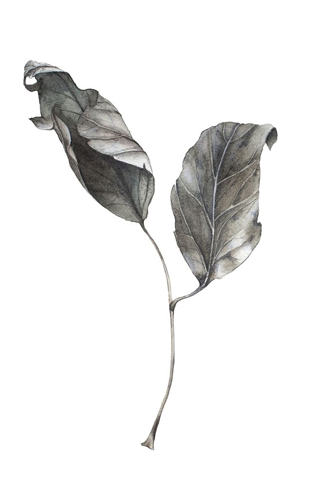 Silver Leaf art print by Incado for $57.95 CAD