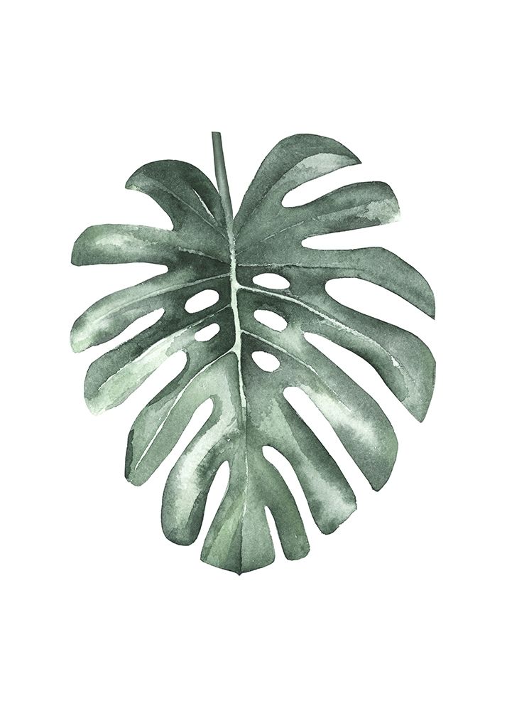 Water Leaf art print by Incado for $57.95 CAD