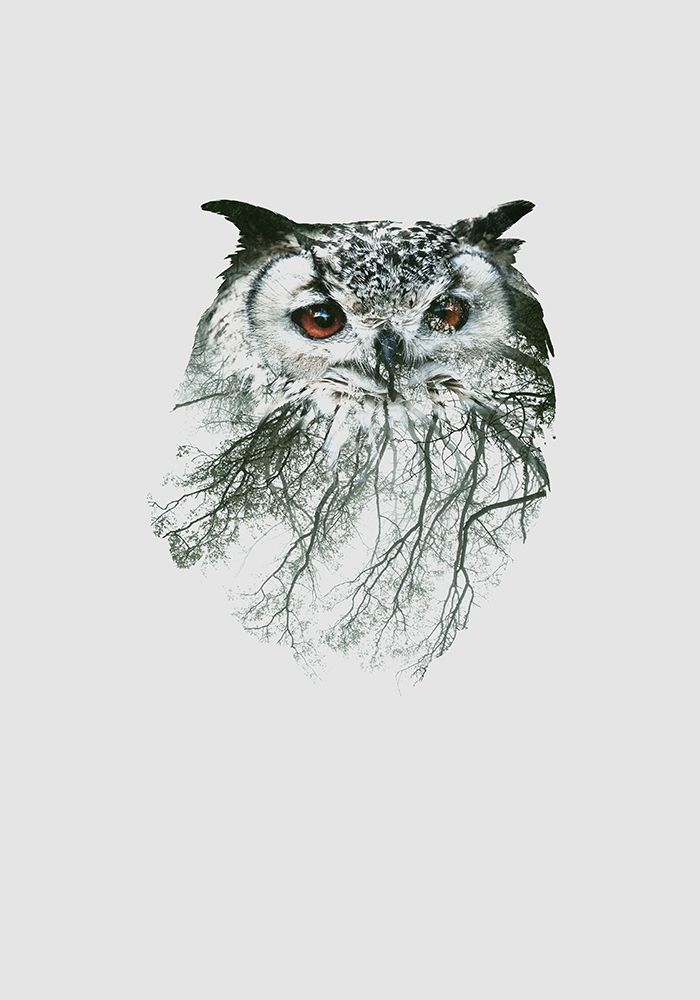 Eye of the Forest II art print by Clean Nature for $57.95 CAD