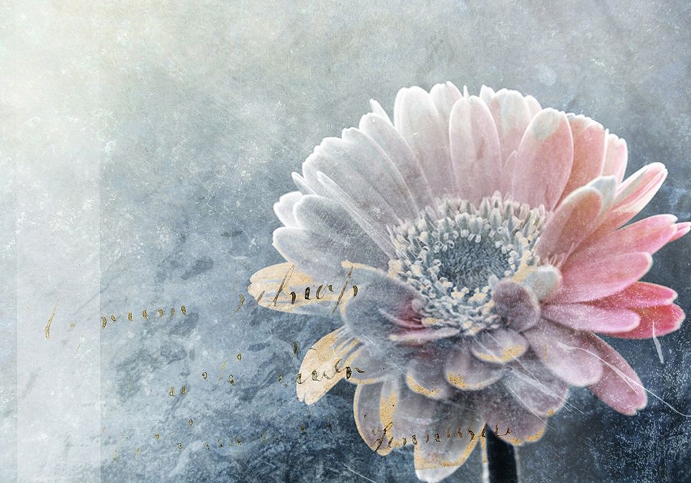 Winter Flower art print by Incado for $57.95 CAD