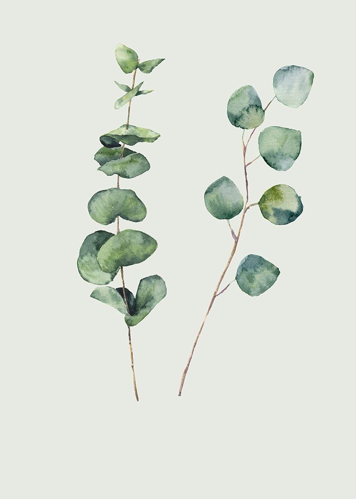 Botanical I art print by Incado for $57.95 CAD