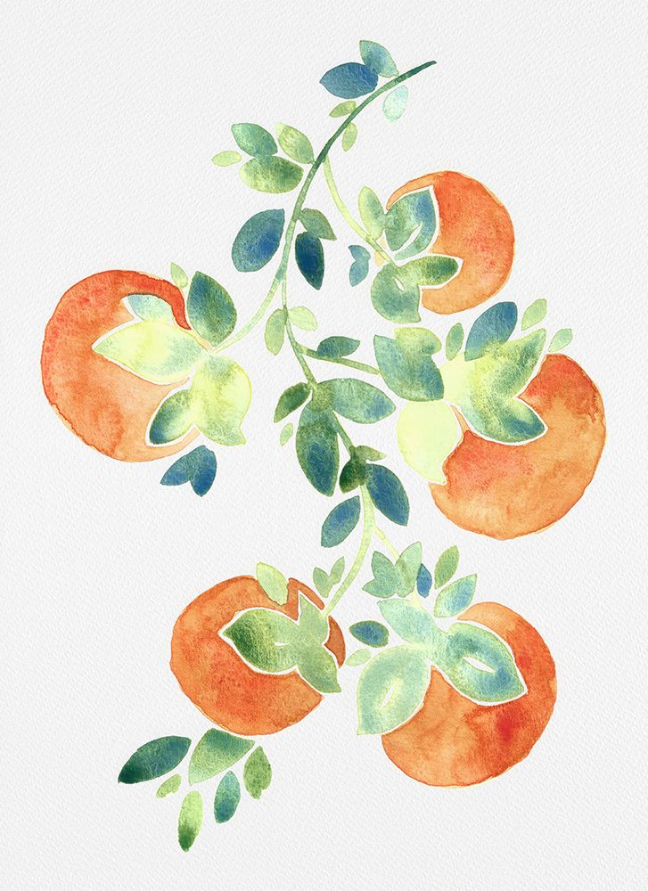 Watercolor Oranges art print by Cami Juncos for $57.95 CAD