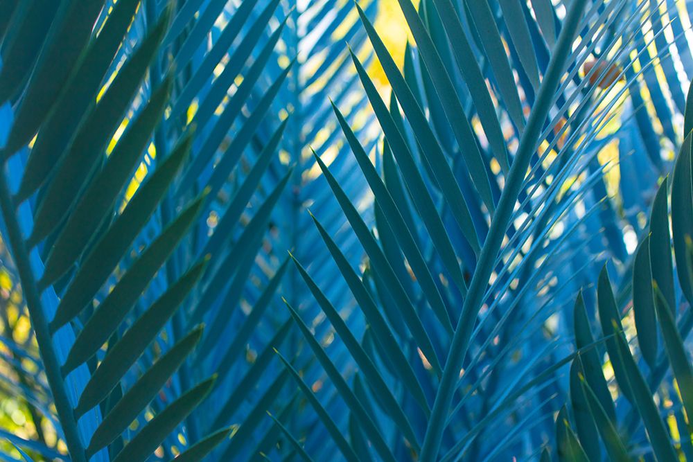 Blue Palms, Antibes art print by Caroyl La Barge for $57.95 CAD