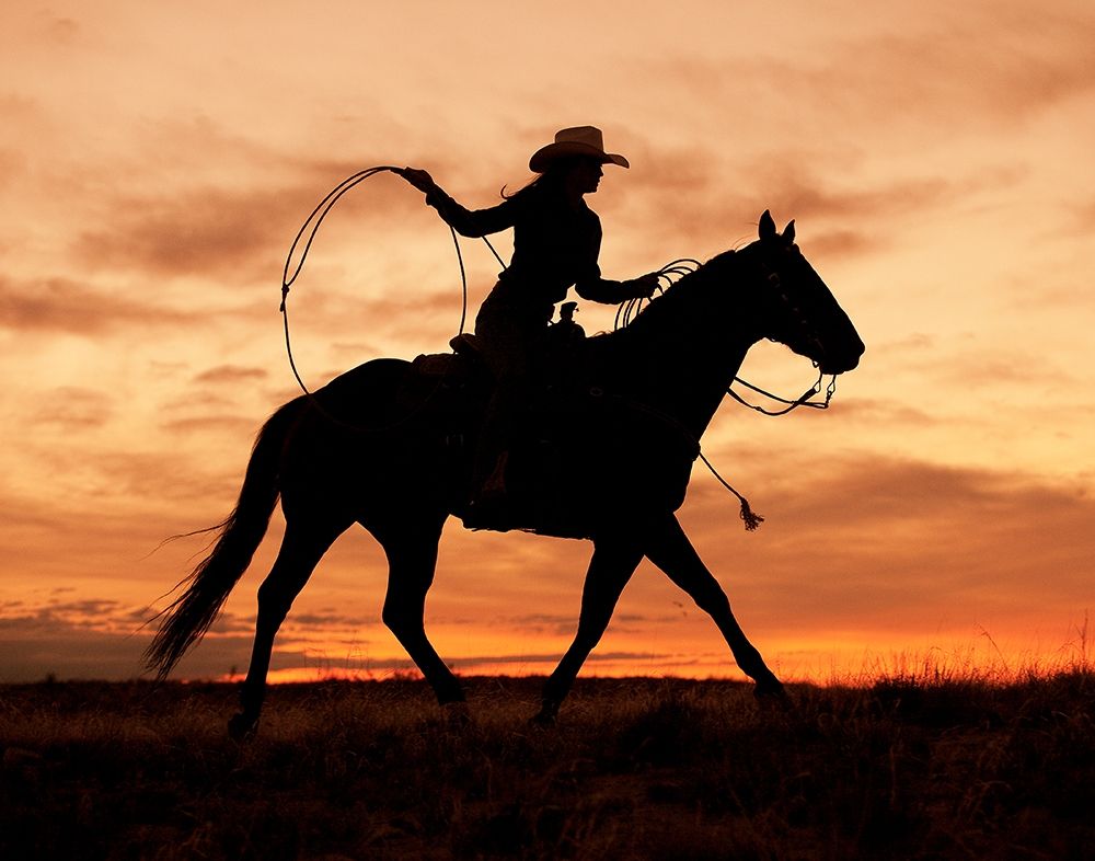 Cowgirl Silhouette art print by J.C. Leacock for $57.95 CAD