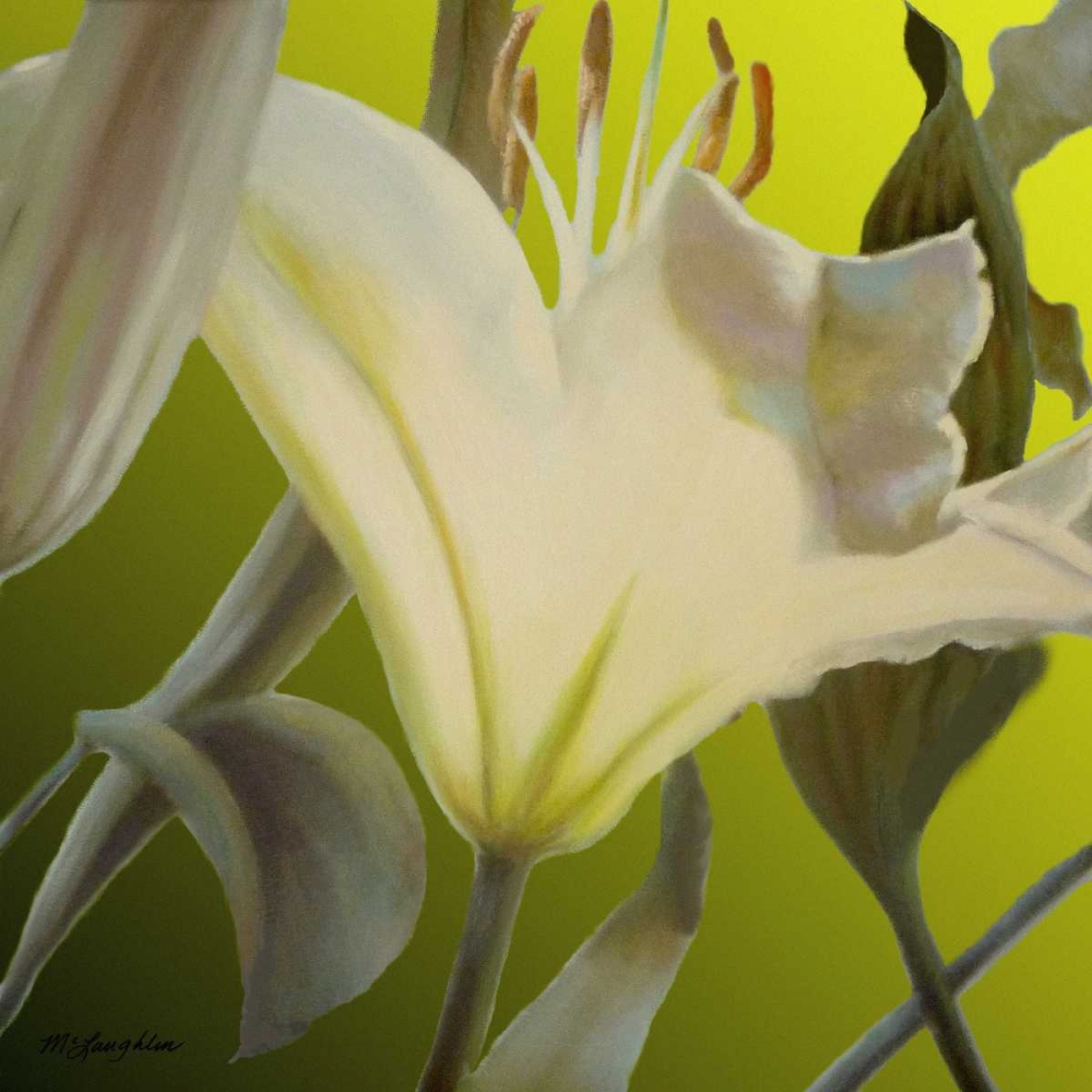 Lily Green art print by Jan McLaughlin for $57.95 CAD
