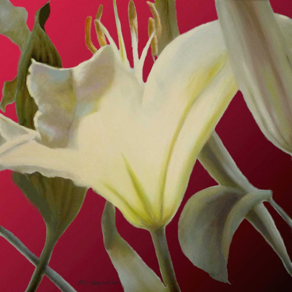Lily Red art print by Jan McLaughlin for $57.95 CAD