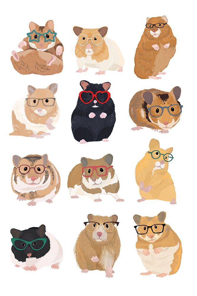 Hamsters Wearing Glasses art print by Hanna Melin for $57.95 CAD