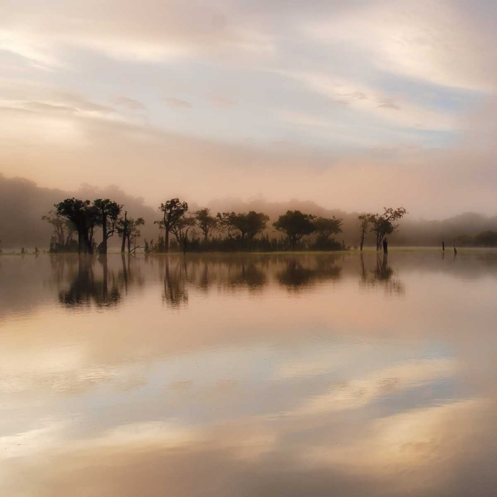 Dawn Mist on the Amazon art print by Andy Mumford for $57.95 CAD