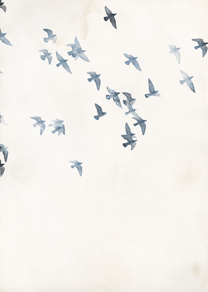 Pigeons Sky art print by Design Fabrikken for $57.95 CAD