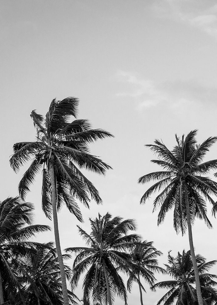 Palms in Grey art print by Design Fabrikken for $57.95 CAD