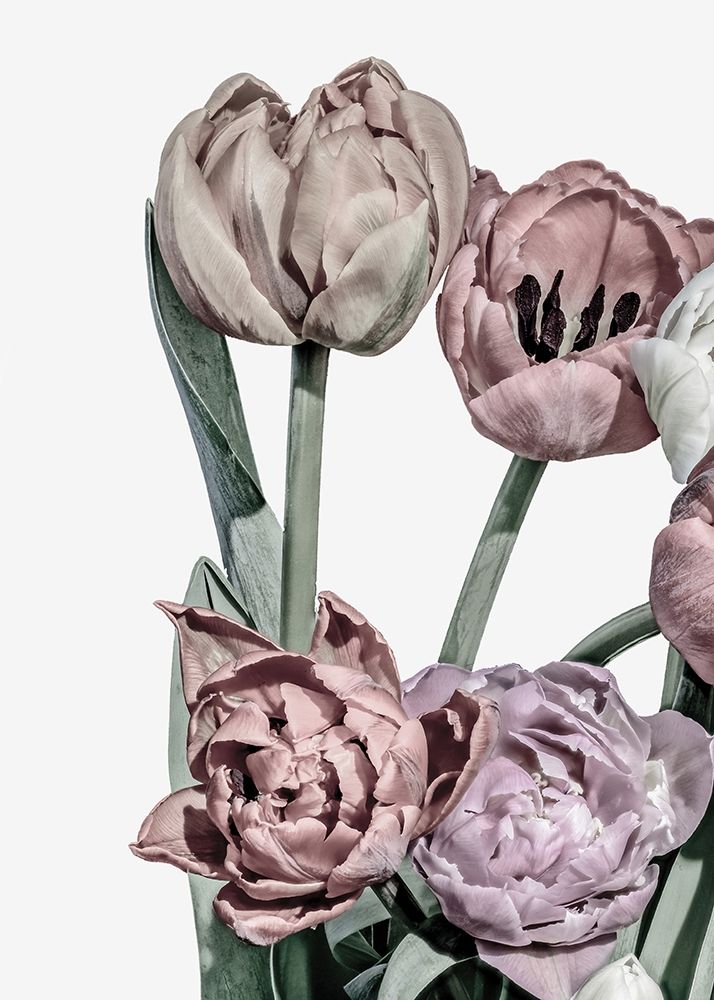 Tulips Bright 2 art print by Design Fabrikken for $57.95 CAD