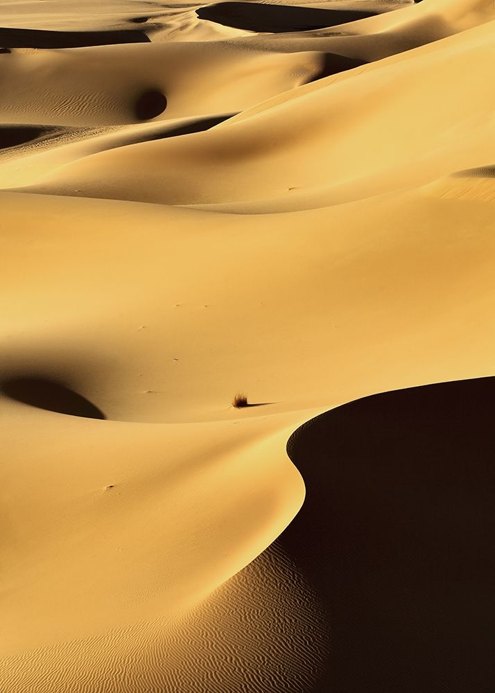 In the Dunes 1 art print by Design Fabrikken for $57.95 CAD