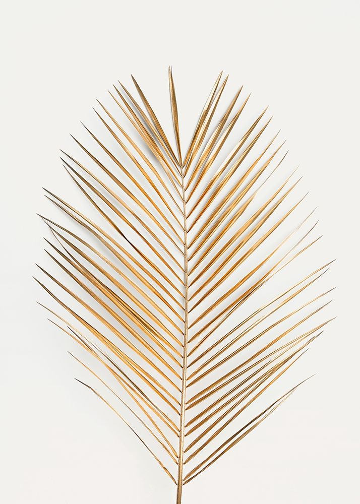 Palm Leaf Gold art print by Design Fabrikken for $57.95 CAD