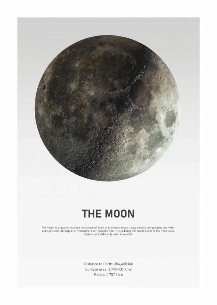 Moon Light art print by Design Fabrikken for $57.95 CAD