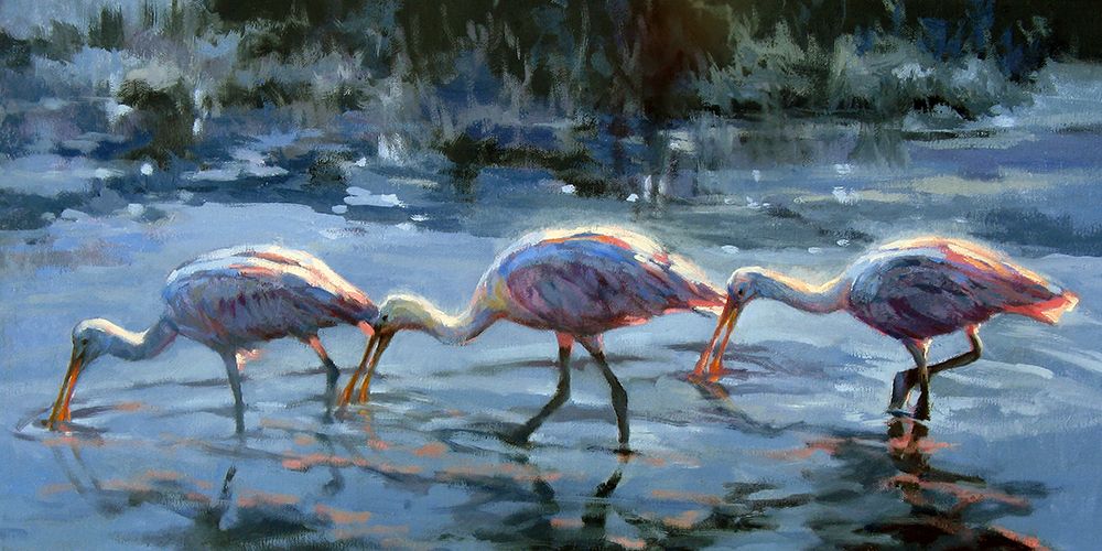 Spoonbill Late Feeding art print by Sandy Nelson for $57.95 CAD