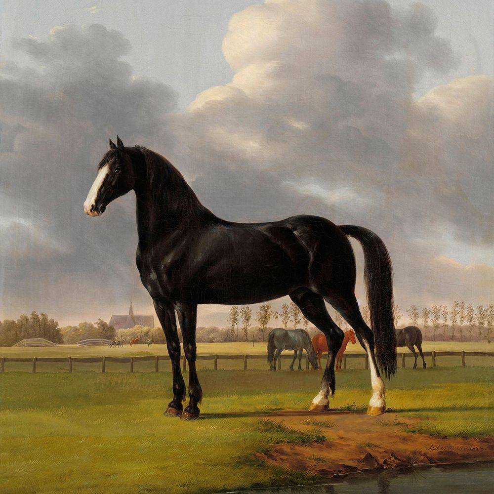 The Fast One, 1828 art print by Anthony Oberman for $57.95 CAD