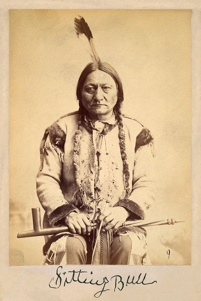 Sitting Bull - Lakota Sioux Tribe Chief-1884 art print by Palmquist And Jurgens for $57.95 CAD