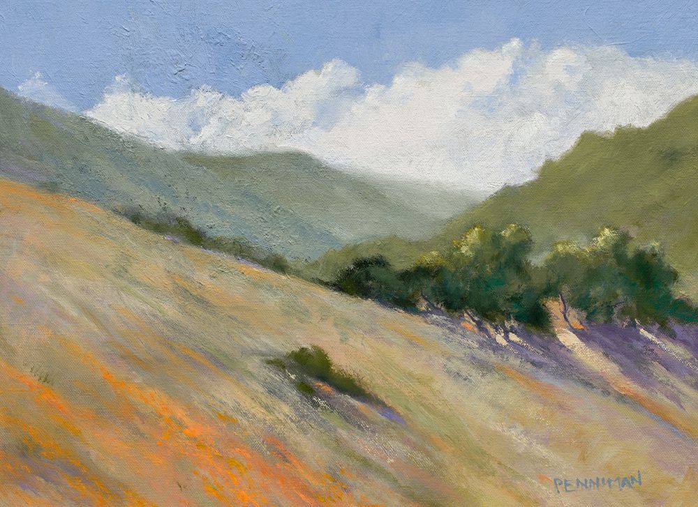 Old Toll Road, Calistoga art print by Ed Penniman for $57.95 CAD
