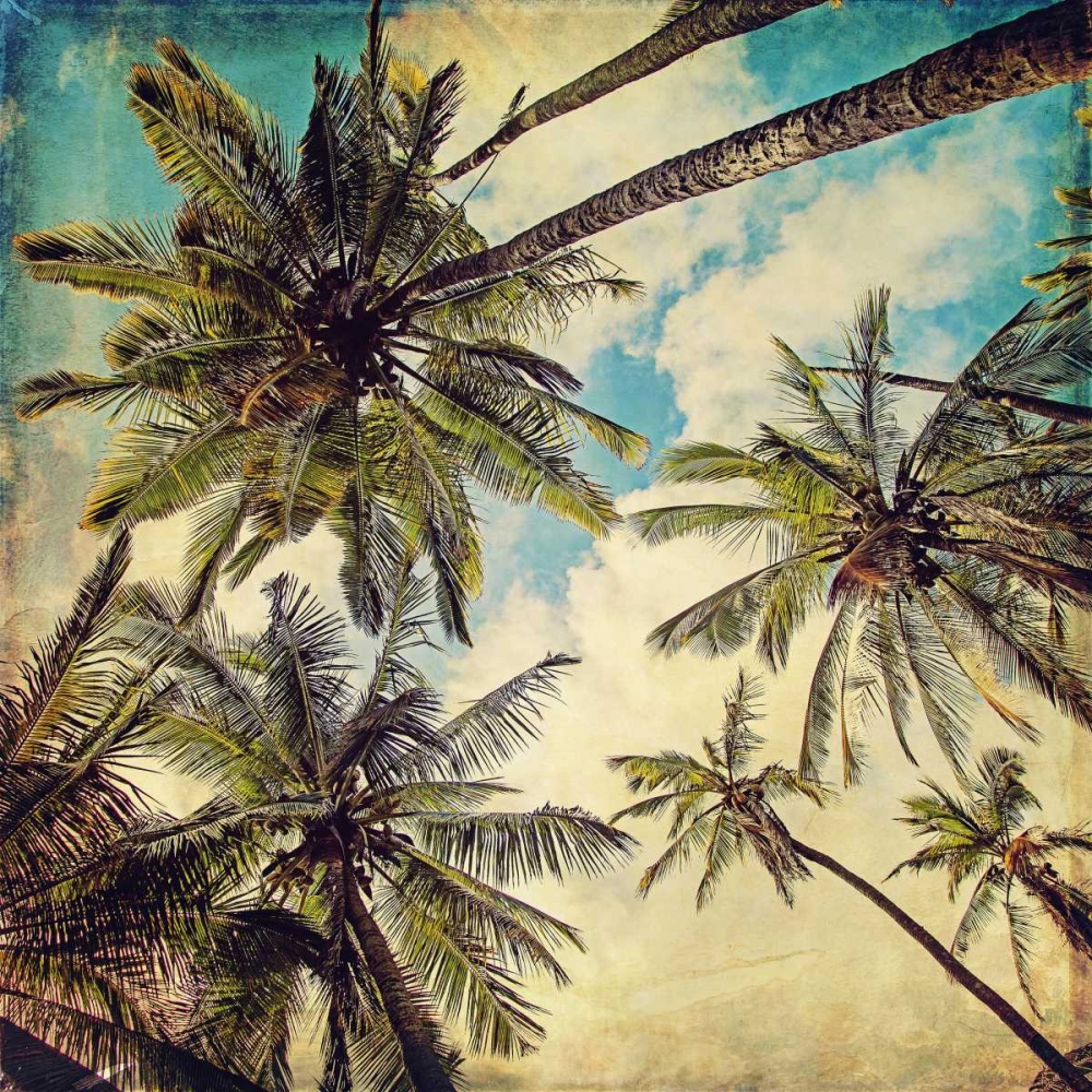 Kauai Island Palms art print by Melanie Alexandra Price for $57.95 CAD