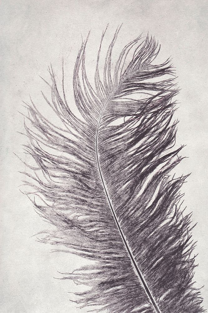 Feather 4 Light art print by Pernille Folcarelli for $57.95 CAD