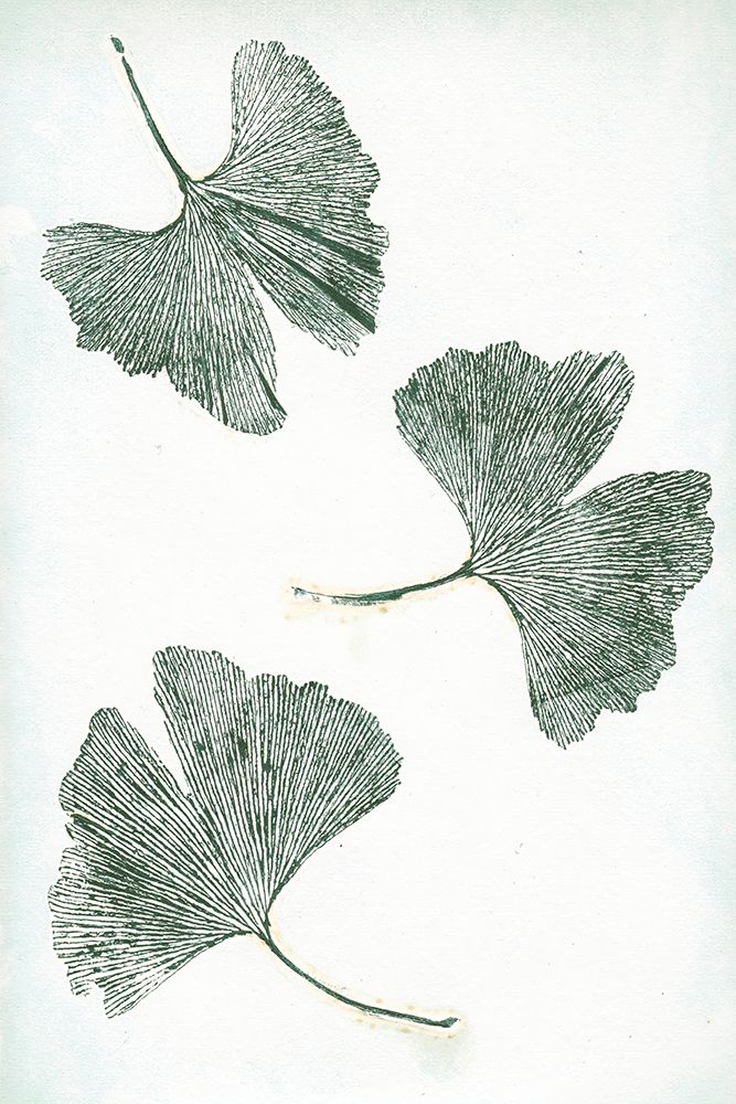 Ginkgo 1 Green art print by Pernille Folcarelli for $57.95 CAD