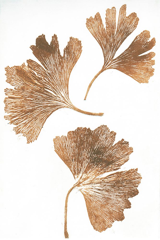 Ginkgo 3 Brown art print by Pernille Folcarelli for $57.95 CAD