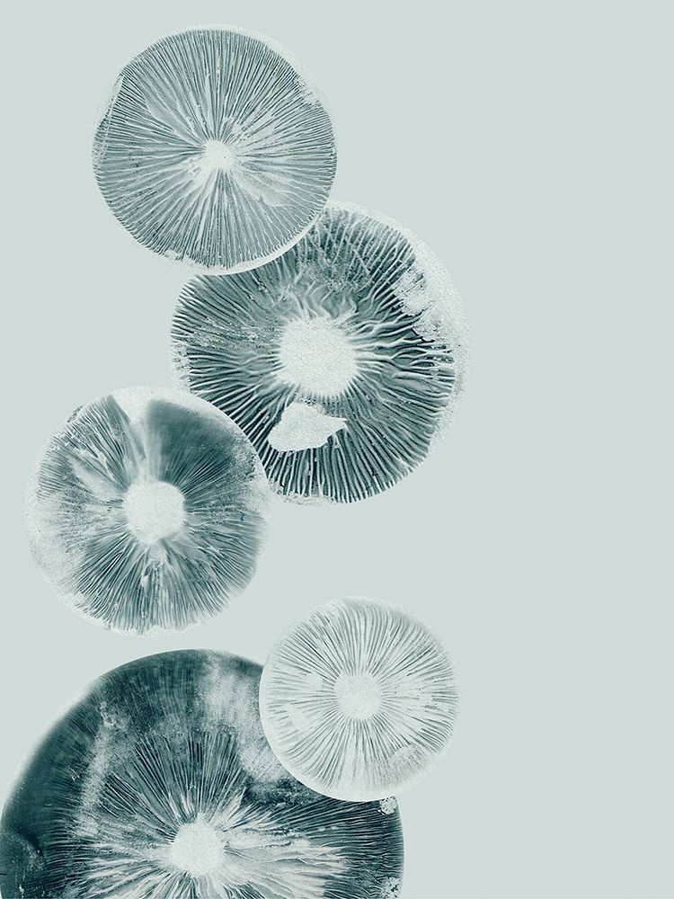 Mushroom Light Teal art print by Pernille Folcarelli for $57.95 CAD