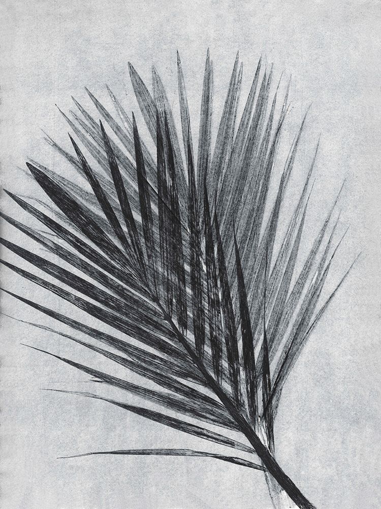 Palm 1 Grey art print by Pernille Folcarelli for $57.95 CAD