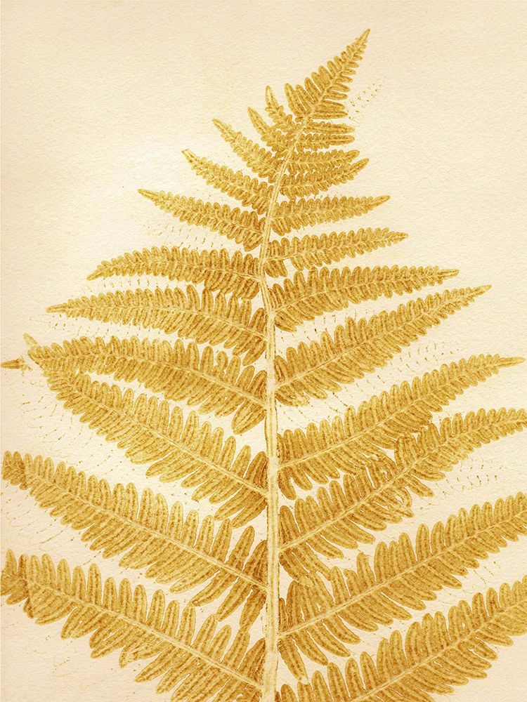 Fern Mustard art print by Pernille Folcarelli for $57.95 CAD