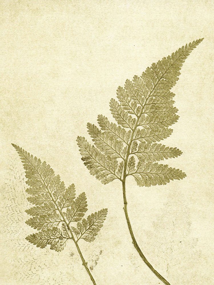 Fern Olive art print by Pernille Folcarelli for $57.95 CAD