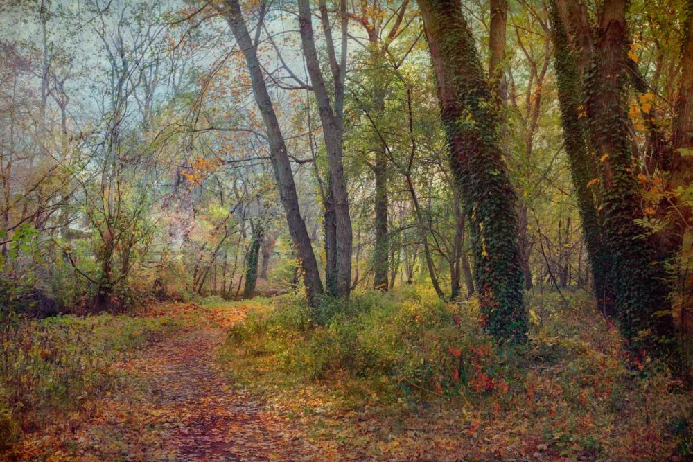 Poetic Season art print by John Rivera for $57.95 CAD