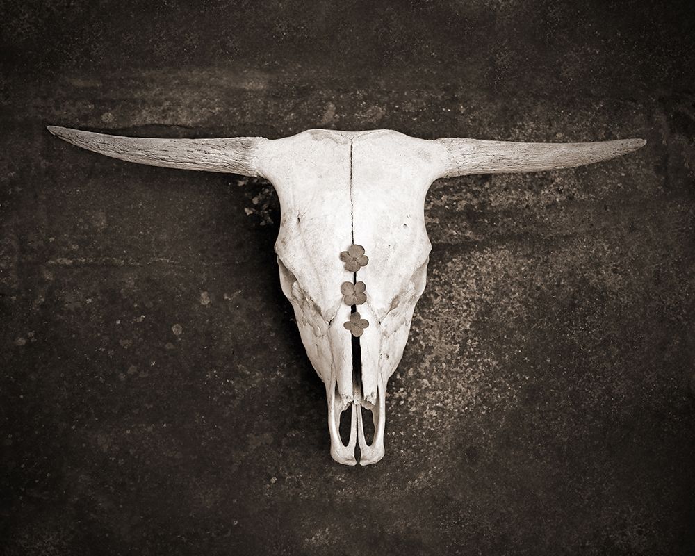 Sepia Cattle Skull art print by Brooke T. Ryan for $57.95 CAD