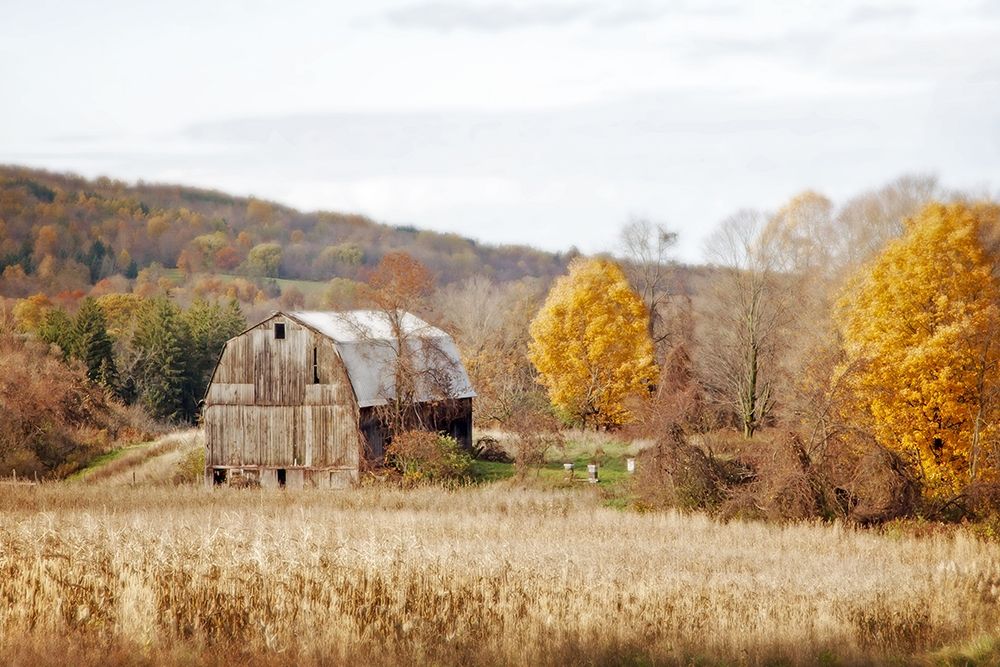 Barn And Beehives art print by Brooke T. Ryan for $57.95 CAD