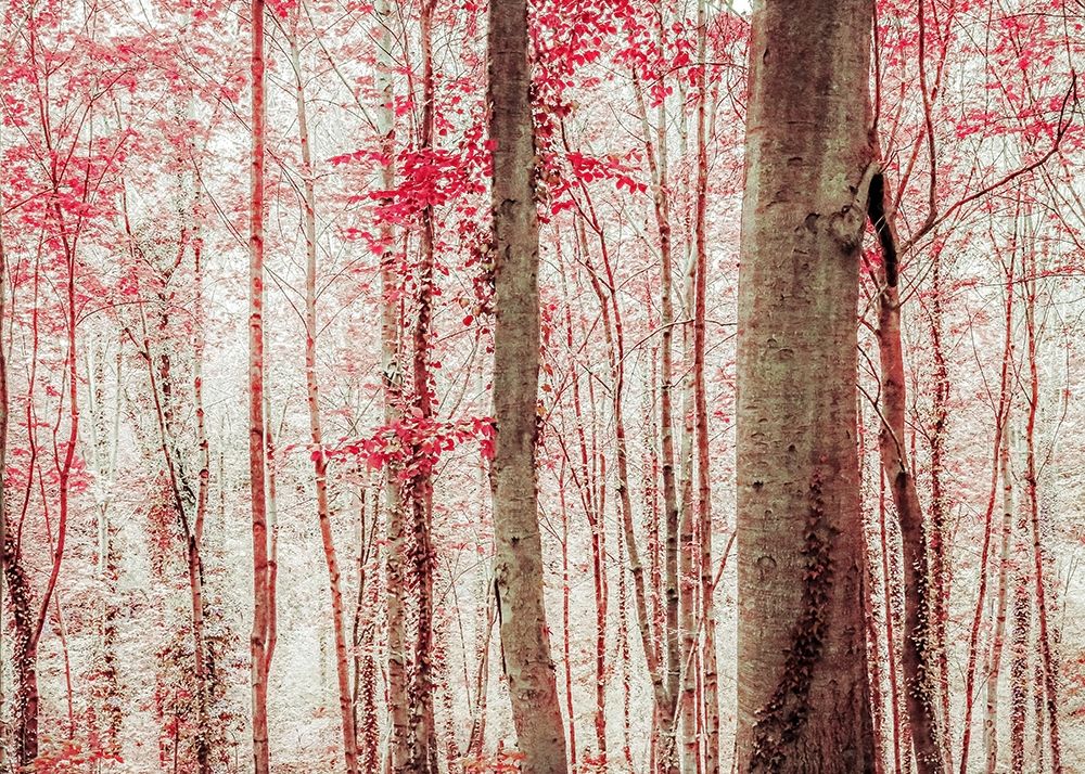 Pink And Brown Fantasy Forest art print by Brooke T. Ryan for $57.95 CAD