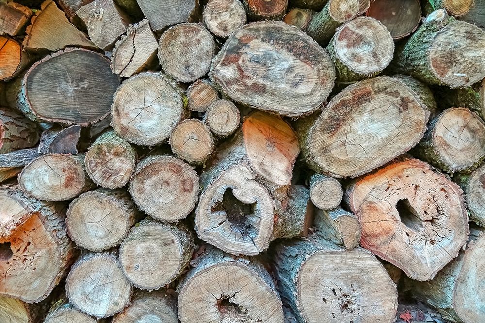 Woodpile art print by Brooke T. Ryan for $57.95 CAD