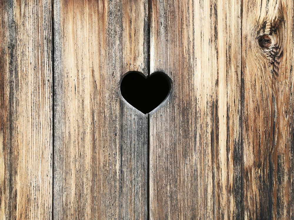 Heart in Wood art print by Brooke T. Ryan for $57.95 CAD