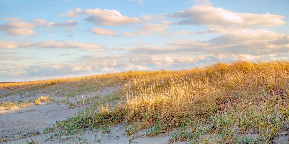 Grassy Dunes Panorama art print by Brooke T. Ryan for $57.95 CAD