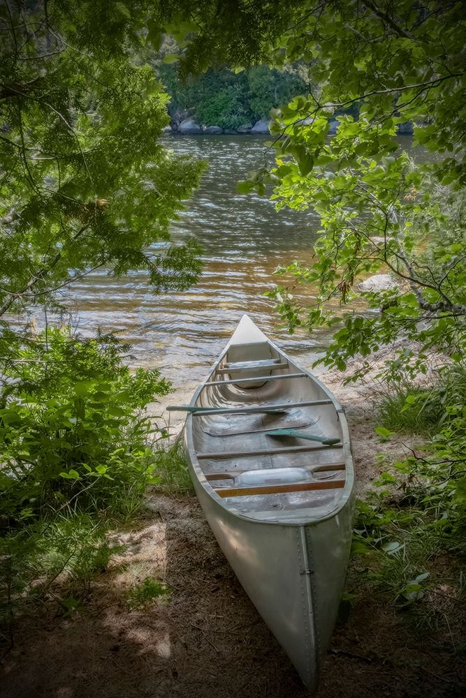Canoe art print by Brooke T. Ryan for $57.95 CAD