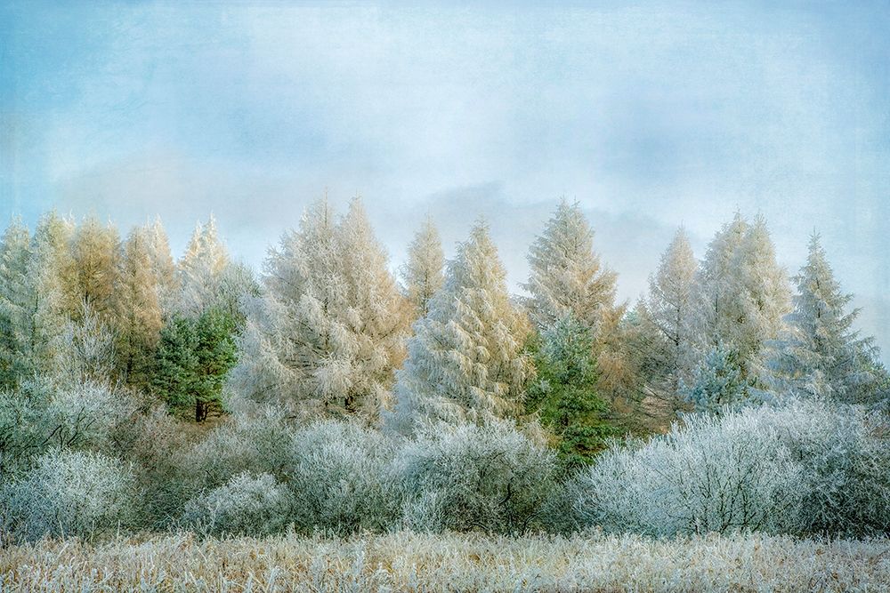 Winter Wonderland art print by Brooke T. Ryan for $57.95 CAD
