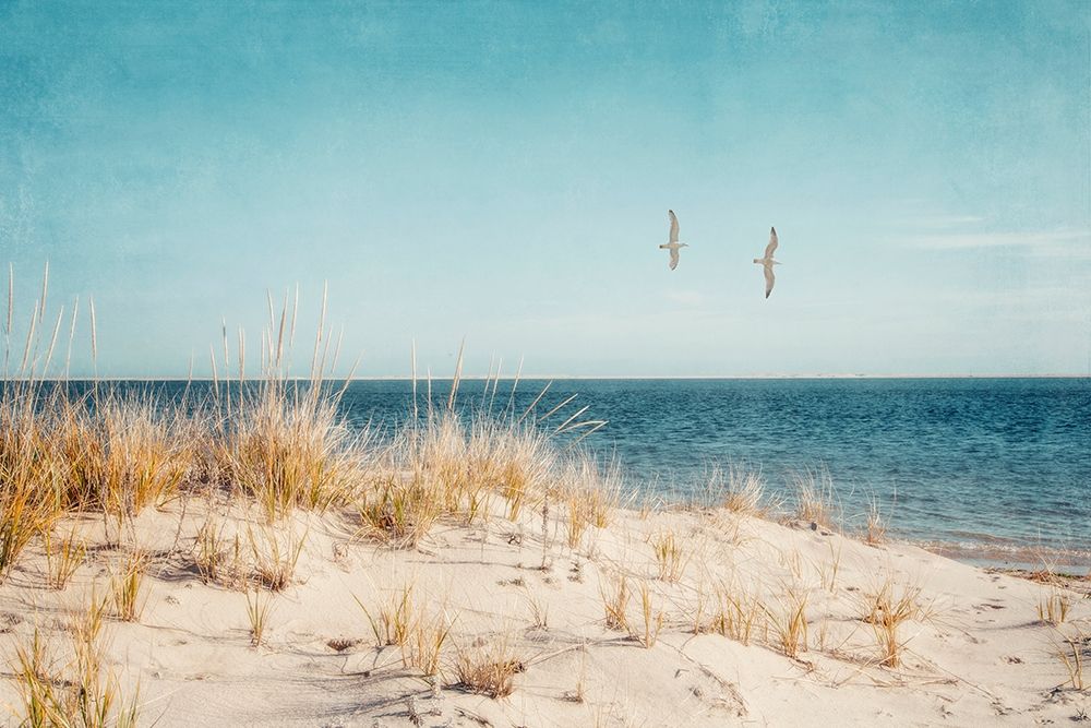 Beach And Gulls art print by Brooke T. Ryan for $57.95 CAD