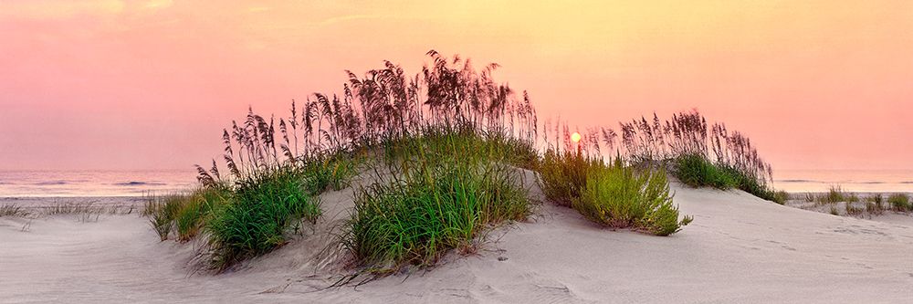 Sea Oats Sun art print by Jack Reed for $57.95 CAD