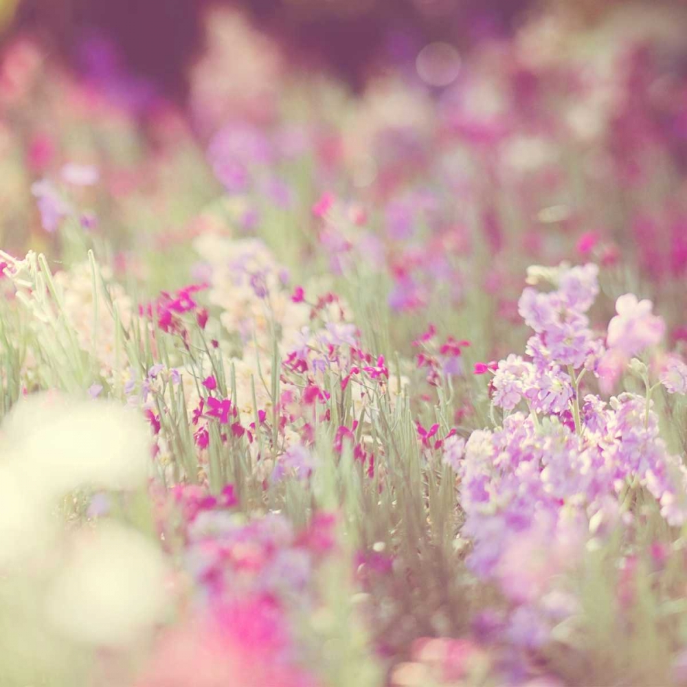 Monet art print by Myan Soffia for $57.95 CAD