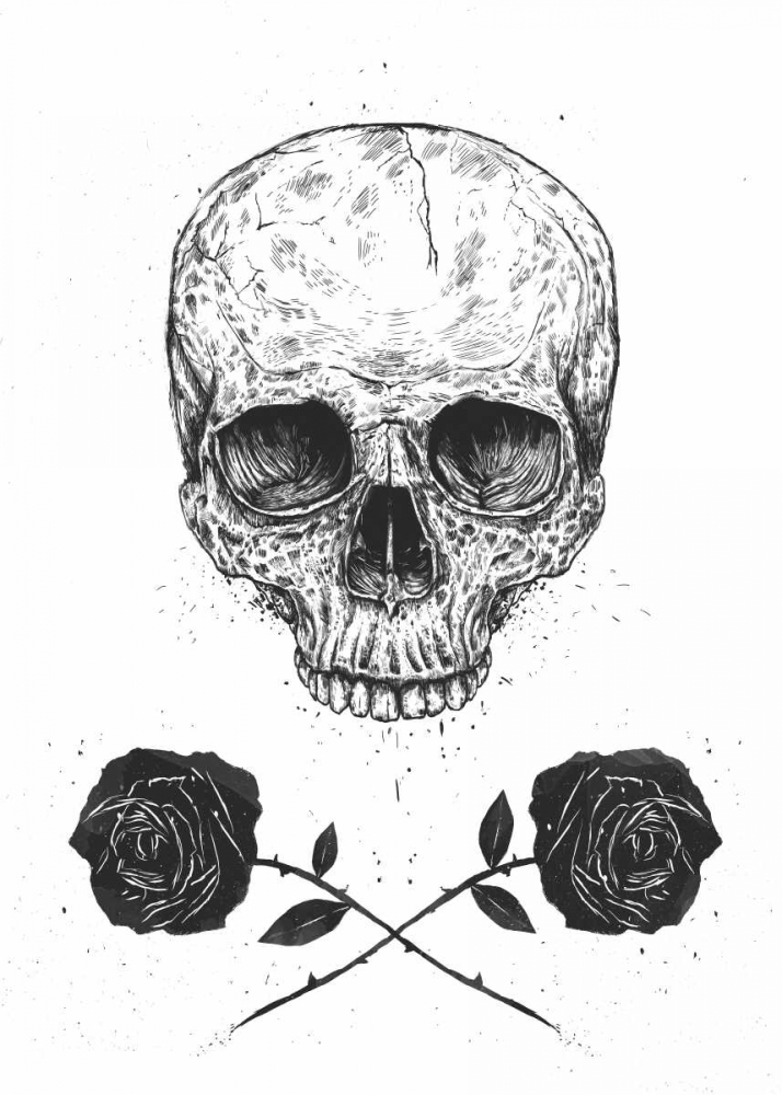 Skull N Roses art print by Balazs Solti for $57.95 CAD