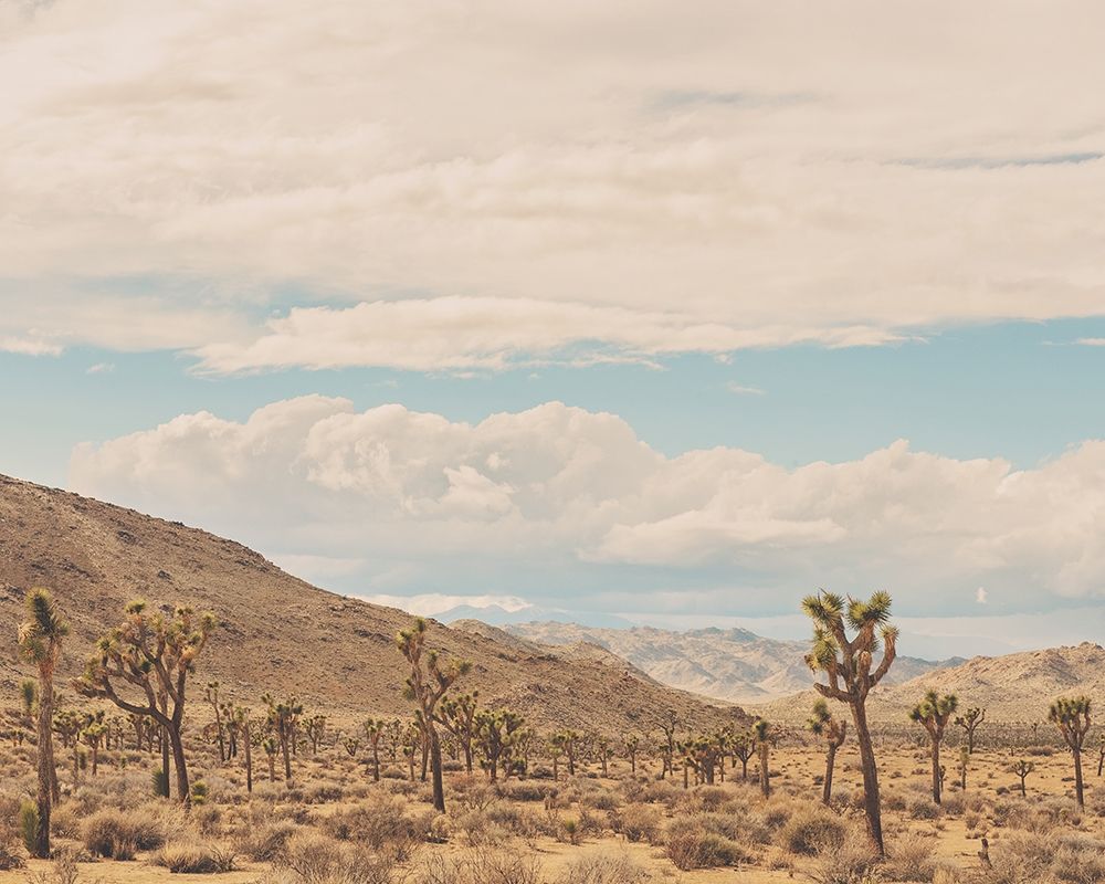 Untitled No. 10 art print by Myan Soffia for $57.95 CAD