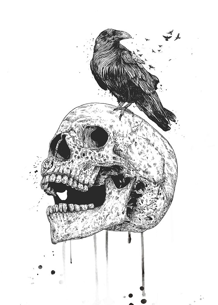 New Skull art print by Balazs Solti for $57.95 CAD